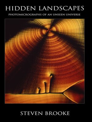 cover image of HIDDEN LANDSCAPES